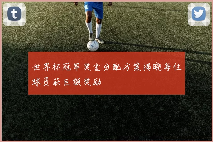 世界杯冠军奖金分配方案揭晓每位球员获巨额奖励