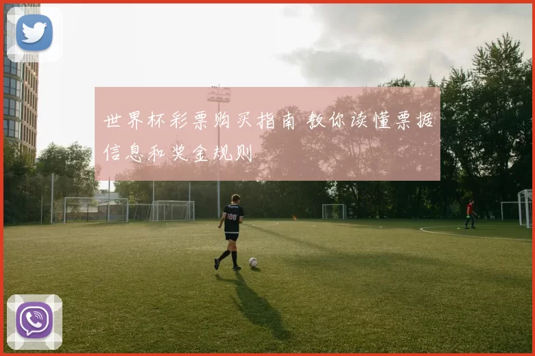 世界杯彩票购买指南 教你读懂票据信息和奖金规则