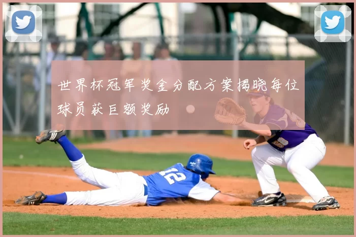 世界杯冠军奖金分配方案揭晓每位球员获巨额奖励