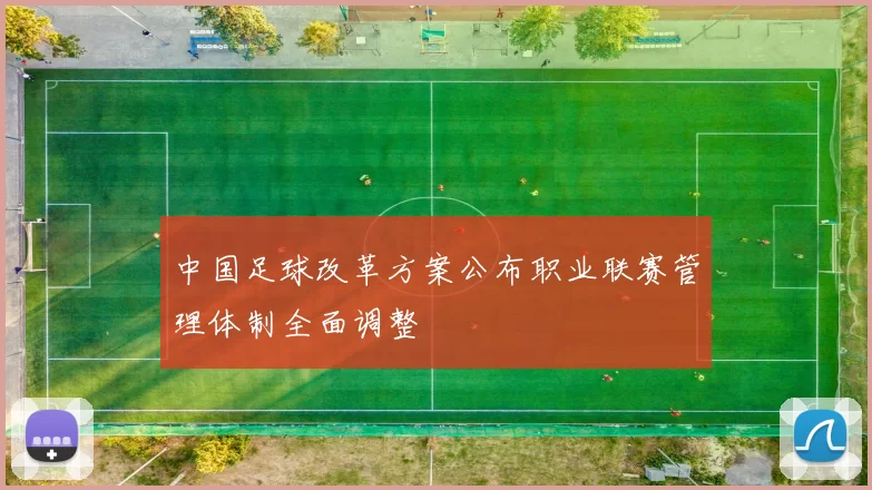 中国足球改革方案公布职业联赛管理体制全面调整