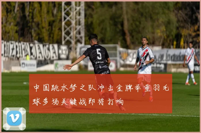 中国跳水梦之队冲击金牌举重羽毛球多场关键战即将打响