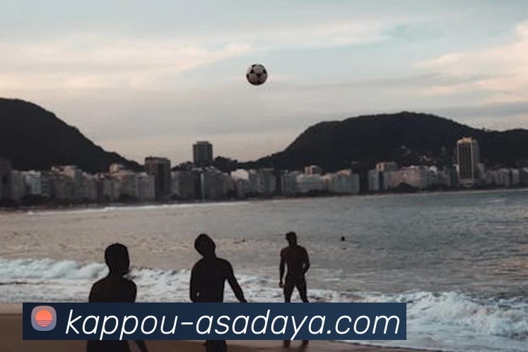 mk体育在线官网首页APP 封面图